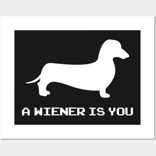 A Wiener Dog Is You Posters and Art